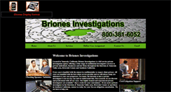 Desktop Screenshot of brionesinvestigations.com